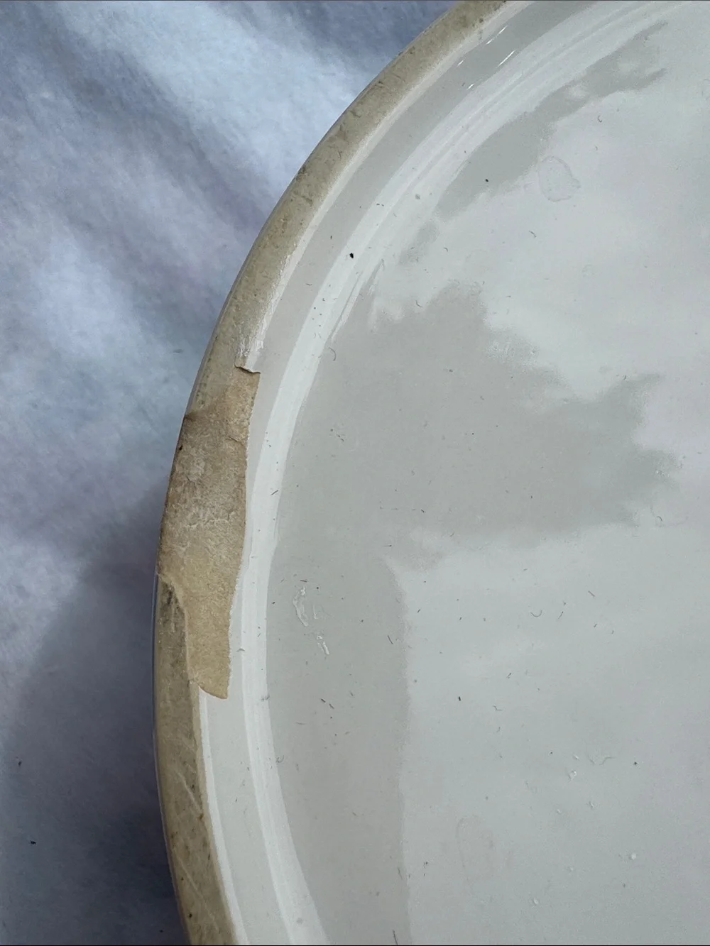 Ceramic White Pet Bowl with Light Blue Lettering - Home Art